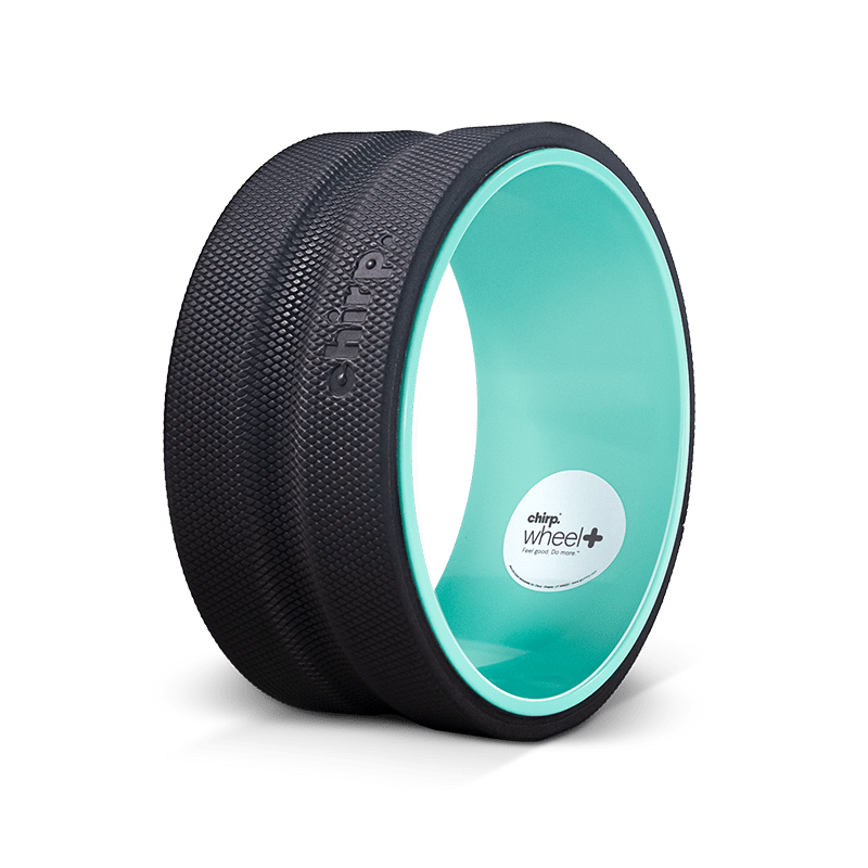 CHIRP WHEEL+ 10″ FIRM